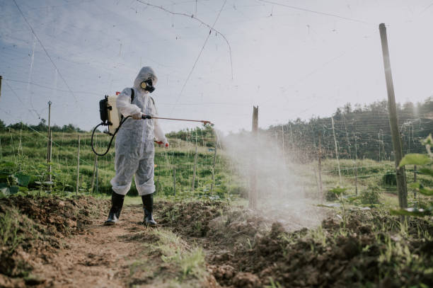 Best Mosquito Control Services  in Colfax, IA