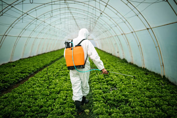 Best Best Pest Control Companies  in Colfax, IA