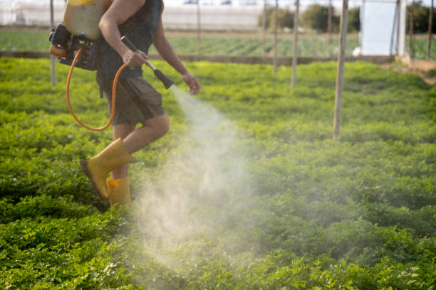 Pest Control for Restaurants in Colfax, IA