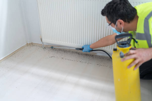 Pest Control for Restaurants in Colfax, IA