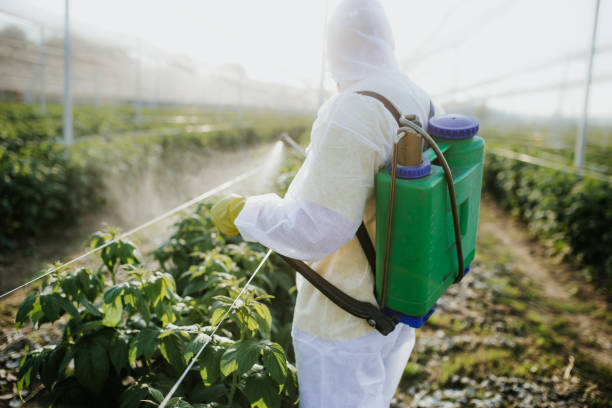 Best Bed Bug Extermination  in Colfax, IA
